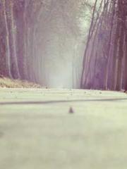 Home-to-door son-in-